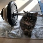 Helping dad with weights