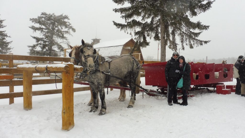 Sleigh Riding